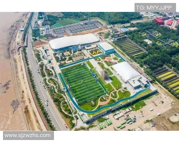 创新驱动竞技体育发展探索提升体育项目竞争力与观赏性的路径